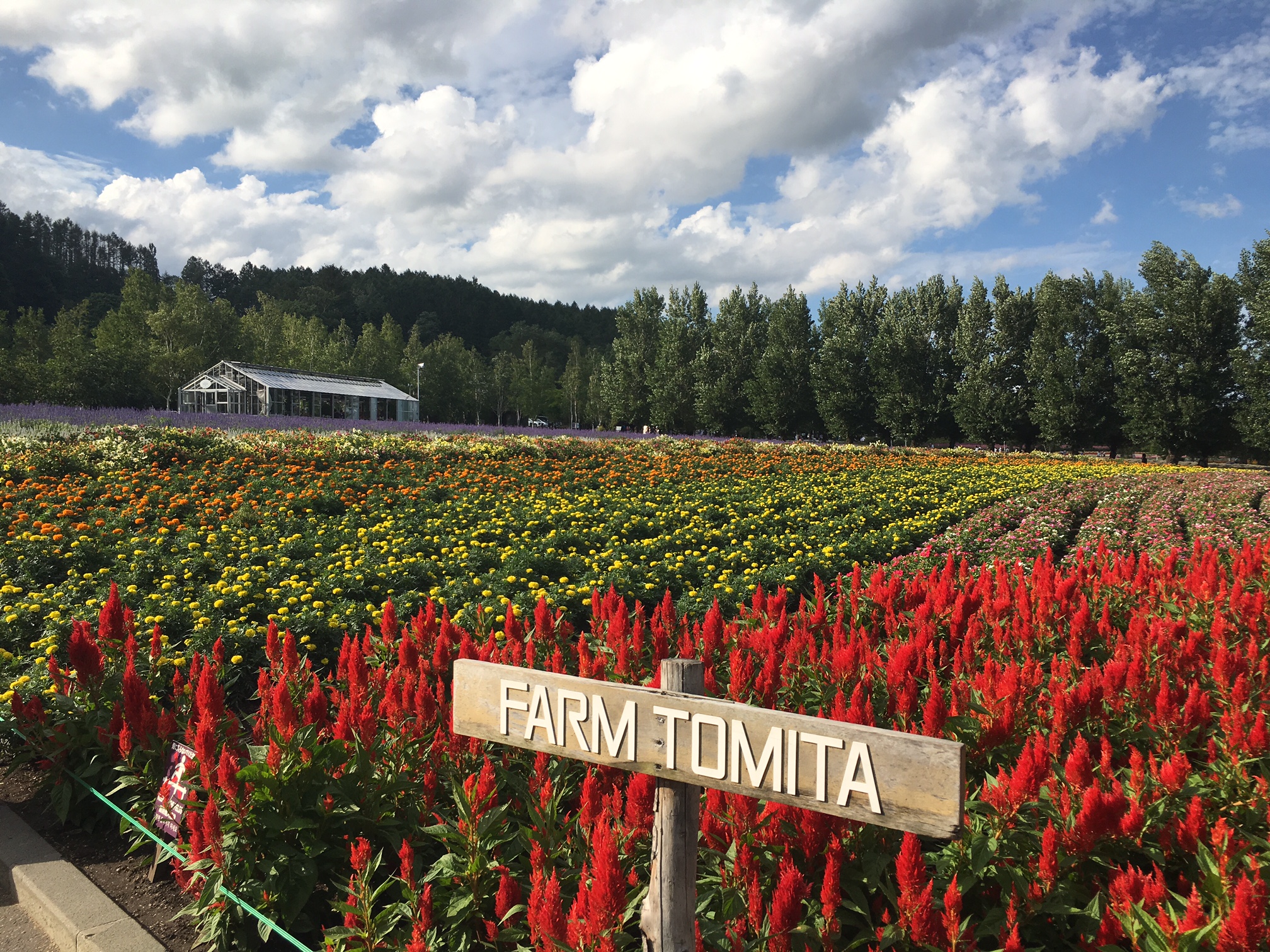How farms in Hokkaido attract visitors Howdy Japan
