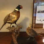 Hotel of pheasant dishes in Hakone